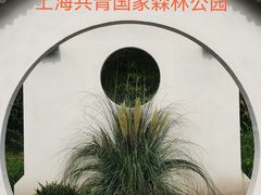 -上海共青森林公园