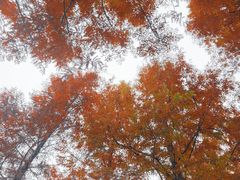 -白鹭湾湿地公园