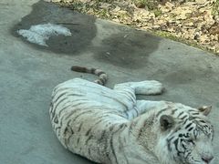 -西安秦岭野生动物园