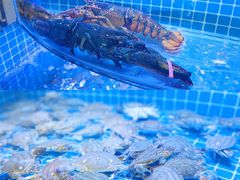 -前王院•巧克力海鲜市集餐厅(万平口店)