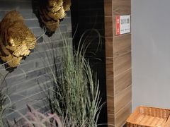 -Dragonfly 悠庭·按摩Spa(苏州中心广场店)