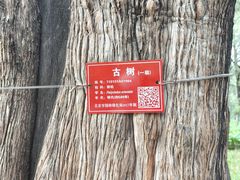 -天坛公园
