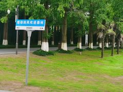 -黄海国家森林公园