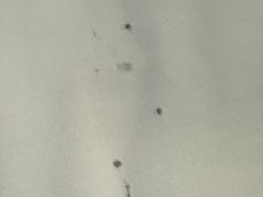 -春晖园度假酒店温泉