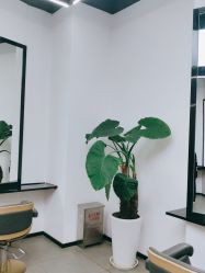 -CUT CUT Hair Salon