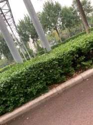 -HEYAN长风荷妍专业脱毛美肤
