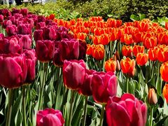 -玄武湖景区-情侣园游乐场