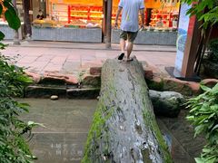 -黄龙溪古镇