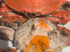 -浩运·海鲜青岛菜·海胆水饺(石老人店)