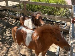 -水上乐园·欢乐世界