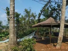 -东寨港红树林旅游区