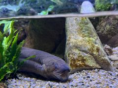 -上海海洋水族馆