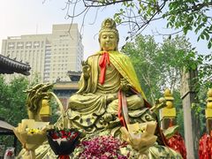 -西安大兴善寺
