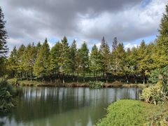 -绍兴镜湖国家城市湿地公园