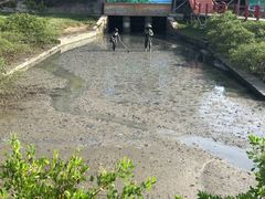 -北海金海湾红树林生态旅游区