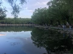 -青城公园