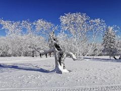 -雾凇岛