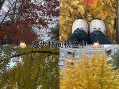 -辽宁大学(崇山校区)