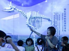 -国家自然博物馆