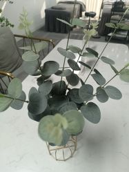 -AM半永久纹眉