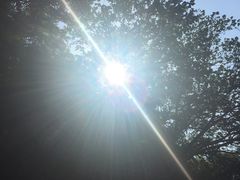 -上海佘山国家森林公园西佘山园