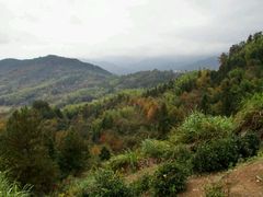 -塔川景区