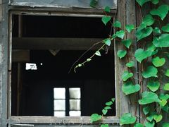 -书隐楼