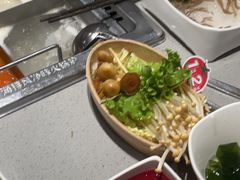 -海底捞火锅(吾悦广场店)
