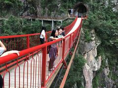 -旗山国家森林公园