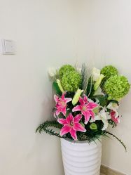 -久匠·纹眉半永久野生眉