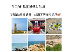 -日照海滨国家森林公园