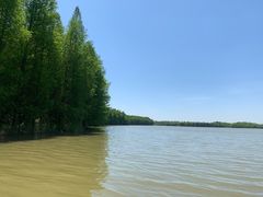 -上海海湾国家森林公园