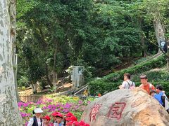 -武汉大学-樱园