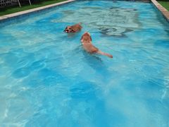 -汪说喵讲宠物乐园宠物酒店(红星美凯龙店)