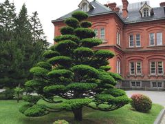 -北海道厅旧本厅舍(旧本庁舎)