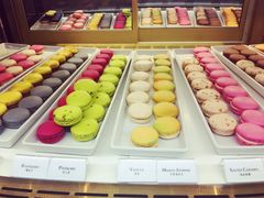 -PAUL LAFAYET 法式甜品(港汇广场店)