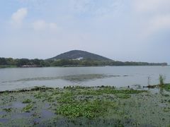 -长广溪湿地公园