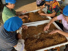 -苏州市吴中区光福窑上花果蜜饯厂