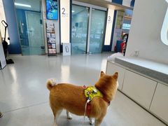 -立德24H动物医院·夜诊·转诊中心·1.5T核磁共振(海珠店)