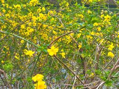 -沙河三洞古桥公园