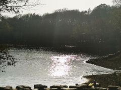 -紫霞湖公园