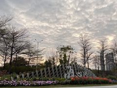 -海心沙亚运公园