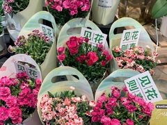 -凯德广场(西城店)