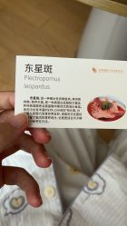 -金鹰国际月子中心(新街口店)
