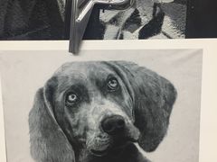 -黑骏画室·深圳美术中高考黄埔军校