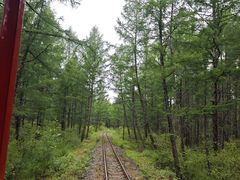 -莫尔道嘎国家森林公园