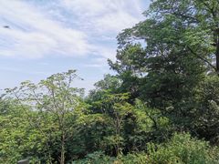 -巢湖姥山岛