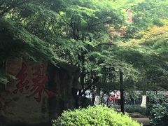 -杭州黄龙洞