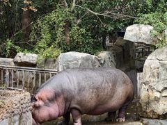 -宁波野生动物园