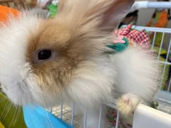 -怪兽屋·羊驼·猫咖·狗咖(俊华广场店)